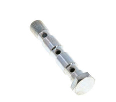 3-fach verzinkte Stahlhohlschraube mit G1/8'' Außengewinde L55mm [2 Stück]