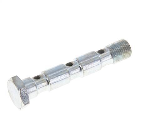 3-fach verzinkte Stahlhohlschraube mit G1/8'' Außengewinde L55mm [2 Stück]