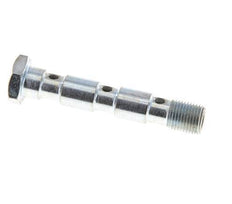 3-fach verzinkte Stahlhohlschraube mit G1/8'' Außengewinde L55mm [2 Stück]