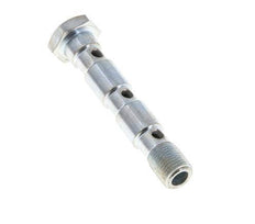 3-fach verzinkte Stahlhohlschraube mit G1/8'' Außengewinde L55mm [2 Stück]