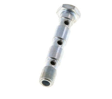 3-fach verzinkte Stahlhohlschraube mit G1/8'' Außengewinde L55mm [2 Stück]