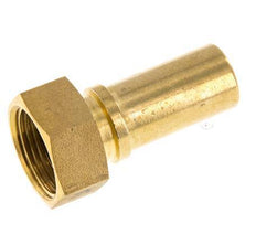19 mm (3/4'') & G3/4'' Messing Schlauch Barb Überwurfmutter Flachdichtung Polyurethan Sicherheitskragen EN 14420-5 (DIN 2817)