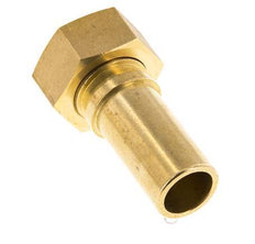 19 mm (3/4'') & G3/4'' Messing Schlauch Barb Überwurfmutter Flachdichtung Polyurethan Sicherheitskragen EN 14420-5 (DIN 2817)