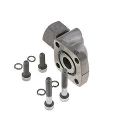 LK 55 Winkelpumpenflansch Temperguss mit 20S (M30x2)