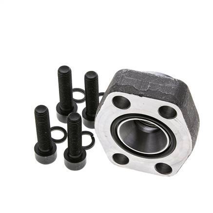 1-1/4'' SAE Flange 3000 PSI Plain Steel with G3/4'' Female Threads ISO 6162-1