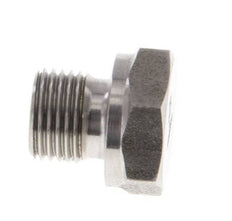 Stopfen G1/8'' Edelstahl mit Außensechskant 60° Konus 575bar (8078.75psi) Hydraulisch