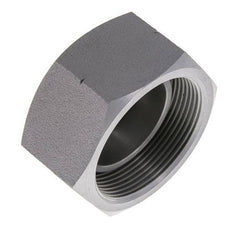 End Cap G2'' Steel with External Hex 60° cone 75bar (1053.75psi) Hydraulic