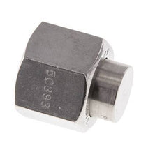 End Cap G3/8'' Stainless steel with External Hex 60° cone 425bar (5971.25psi) Hydraulic