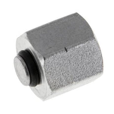 End Cap G1/8'' Steel with External Hex 60° cone 575bar (8078.75psi) Hydraulic [2 Pieces]