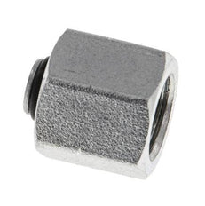 End Cap G1/8'' Steel with External Hex 60° cone 575bar (8078.75psi) Hydraulic [2 Pieces]