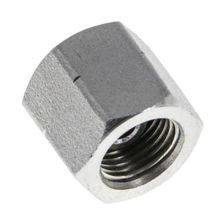 End Cap G1/8'' Steel with External Hex 60° cone 575bar (8078.75psi) Hydraulic [2 Pieces]