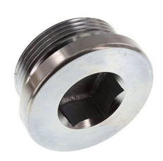 Plug M42 X 2 Steel NBR with Internal Hex 250bar (3512.5psi)