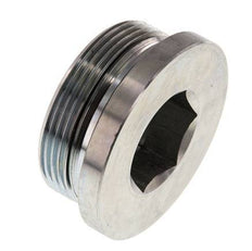 Stopfen M48 X 2 Stahl NBR mit Innensechskant 250bar (3512.5psi)