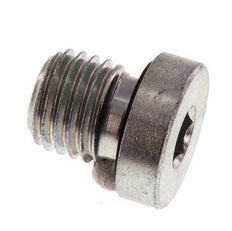 Plug M12 X 1.5 Steel NBR with Internal Hex 400bar (5620.0psi) [2 Pieces]