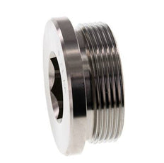 Stopfen M48 X 2 Edelstahl FKM mit Innensechskant 250bar (3512.5psi)