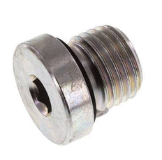 Plug M14 X 1.5 Steel NBR with Internal Hex 400bar (5620.0psi) [2 Pieces]