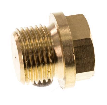 Plug G3/8'' Brass with Collar and External Hex 16bar (224.8psi) [2 Pieces]