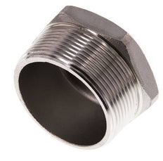 Stopfen R2'' aus Edelstahl mit Außensechskant 16bar (224.8psi)