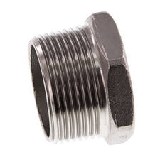 Stecker R1 1/4'' Edelstahl mit Außensechskant 16bar (224.8psi)