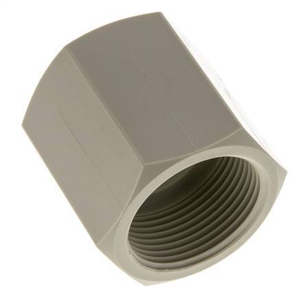 Muffe G1 1/4'' Innengewinde Polypropylen (pp) 10bar (140,5psi) FDA 50mm Sechskant
