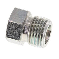 8S Zinc plated Steel Closing Plug for Tubes 630 Bar DIN 2353 [2 Pieces]
