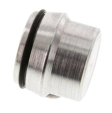 28L Zinc plated Steel Closing Plug for Cutting Ring Fittings 160 Bar DIN 2353 [2 Pieces]