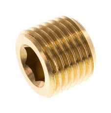 M10x1 Brass Closing plug with Inner Hex without collar (conical) 16 Bar [10 Pieces]