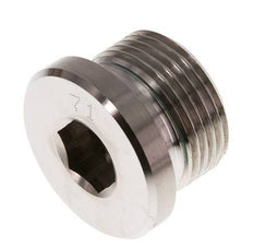 G 3/4'' Außengewinde Verschlussstopfen aus Edelstahl mit Innensechskant und FKM-Dichtung 400 bar