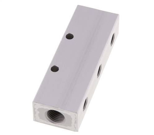 2xG 1/4'' x 6xG 1/8'' Aluminium Verteilerblock Doppelseitig 16 bar