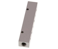 2xG 1/8'' x 12xM5 Aluminium Verteilerblock Doppelseitig 16 bar