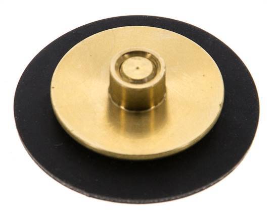 Ersatz-Membran G1/4'' Wasserdruckminderer S-48RD