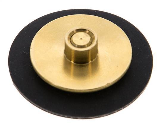 Ersatz-Membran G1/4'' Wasserdruckminderer S-48RD
