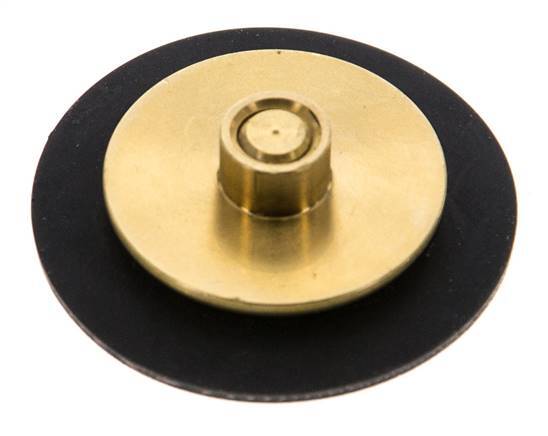 Ersatz-Membran G1/4'' Wasserdruckminderer S-48RD