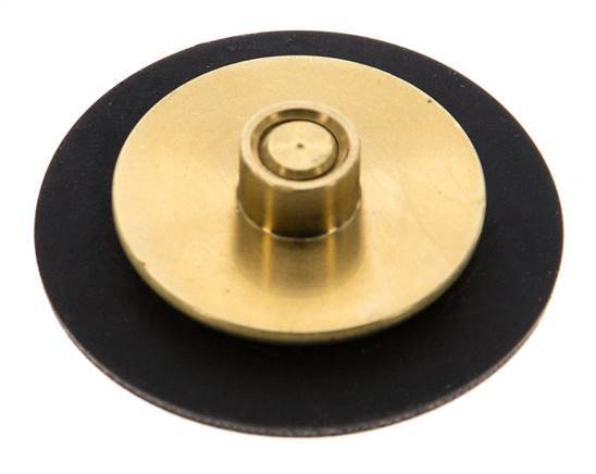 Ersatz-Membran G1/4'' Wasserdruckminderer S-48RD