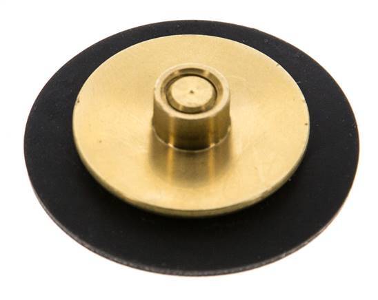 Ersatz-Membran G1/4'' Wasserdruckminderer S-48RD