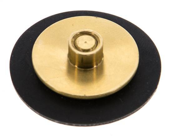 Ersatz-Membran G1/4'' Wasserdruckminderer S-48RD