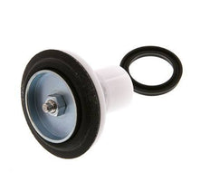 Ventil-Ersatzteilsatz R 1'' und R 11/4'' 1,5 - 6bar Braukmann