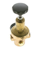 Wasserdruckminderer Bronze G1/4'' 8,3 l/min 0,2-2 bar/3-29psi