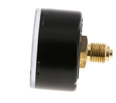 0..6 Bar (0..9 psi) Druck Manometer hinten Stahl / Messing 50 mm Klasse 1.6