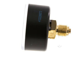 0..10 Bar (0..145 psi) Pressure Gauge Rear Plastic/Brass 50 mm Class 2.5
