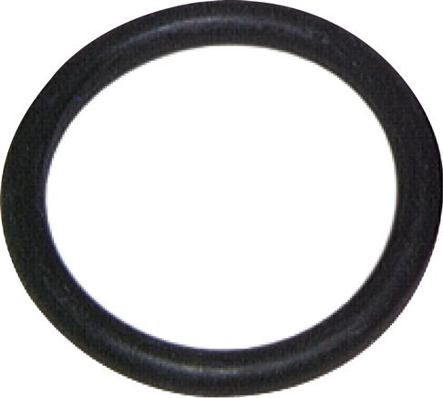 NBR 2"-SAE (3000/6000 PSI) SAE-Flansch-O-Ring [2 Stück]