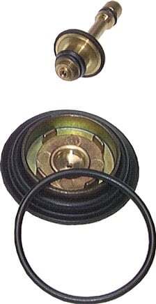 Replacement Diaphragm Pressure Regulator Water Air Mini Standard 0