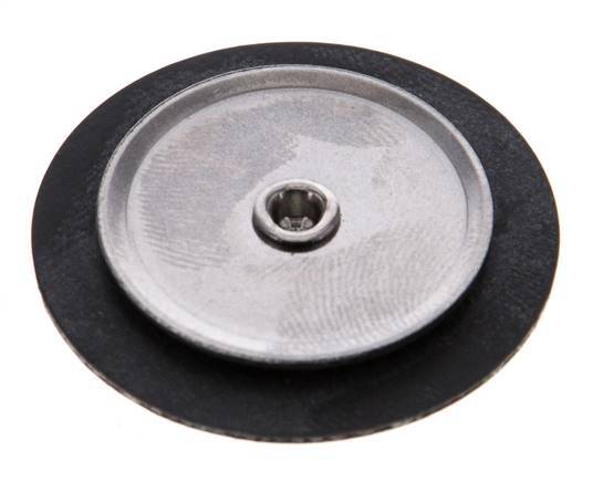 Ersatz-Membran FKM 1/4''