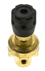 Pressure Regulator G1/4'' 490 l/min 2.0-30.0bar/29-435psi Brass CO2