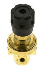 Pressure Regulator G1/4'' 490 l/min 1.0-15.0bar/14-218psi Brass Gases Liquids