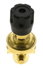 Pressure Regulator G1/4'' 490 l/min 1.0-15.0bar/14-218psi Brass Gases Liquids