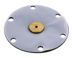 Ersatzmembran PTFE/NBR 1''