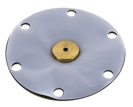 Ersatzmembran PTFE/NBR 1''