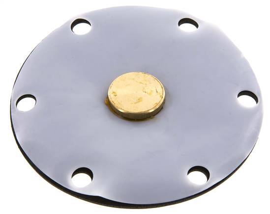 Ersatzmembran PTFE/NBR 1''
