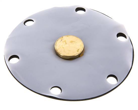 Ersatzmembran PTFE/NBR 1''